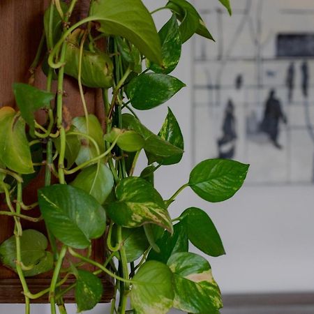 Casa D'Artista - Charming Apartment + Parking Turin Bagian luar foto