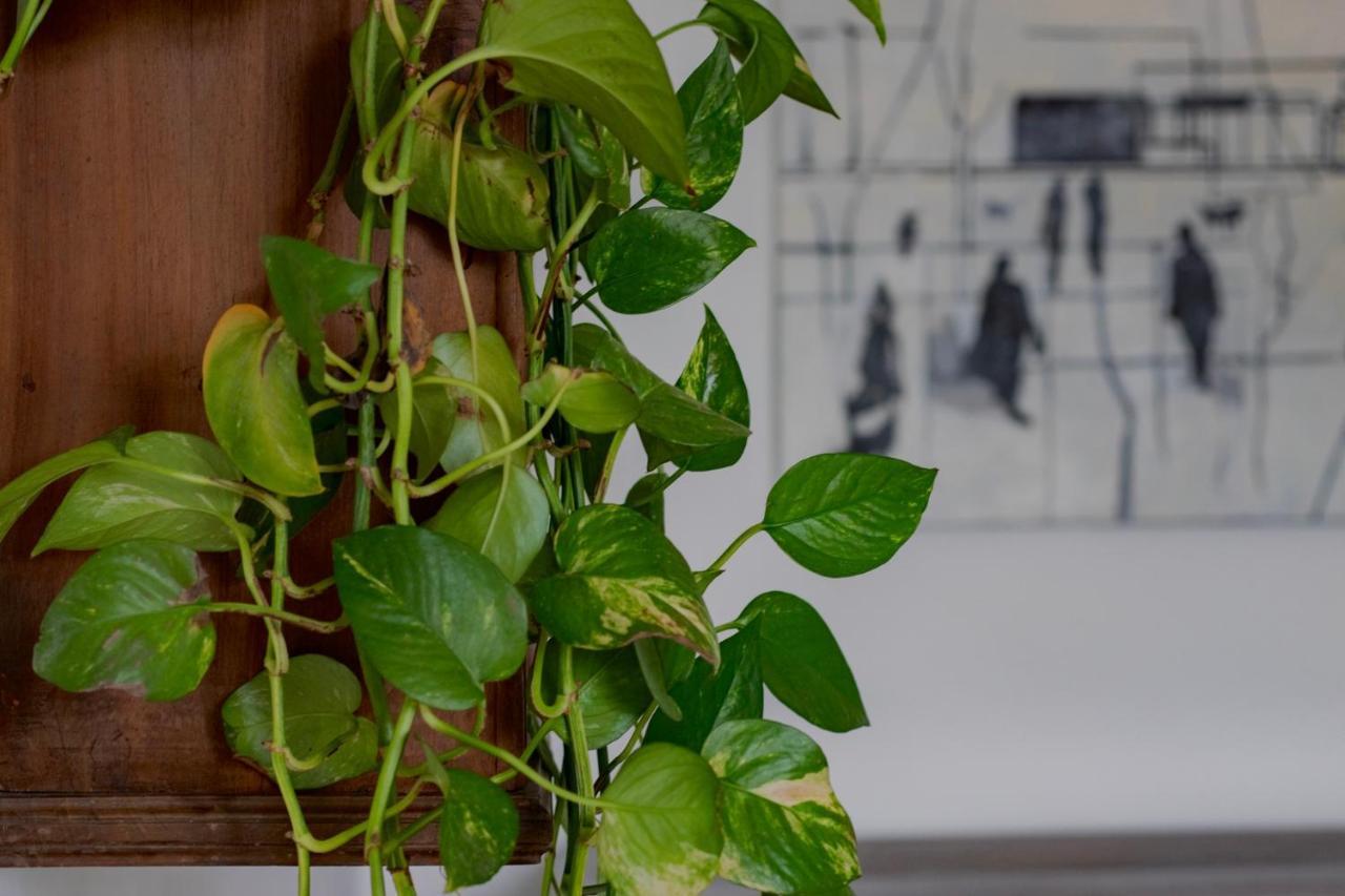Casa D'Artista - Charming Apartment + Parking Turin Bagian luar foto